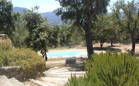 Moulin swimming pool viewed from the top of the steps leading to the Tower. The steps are lined with rosemary bushes an olive and lemon tree.